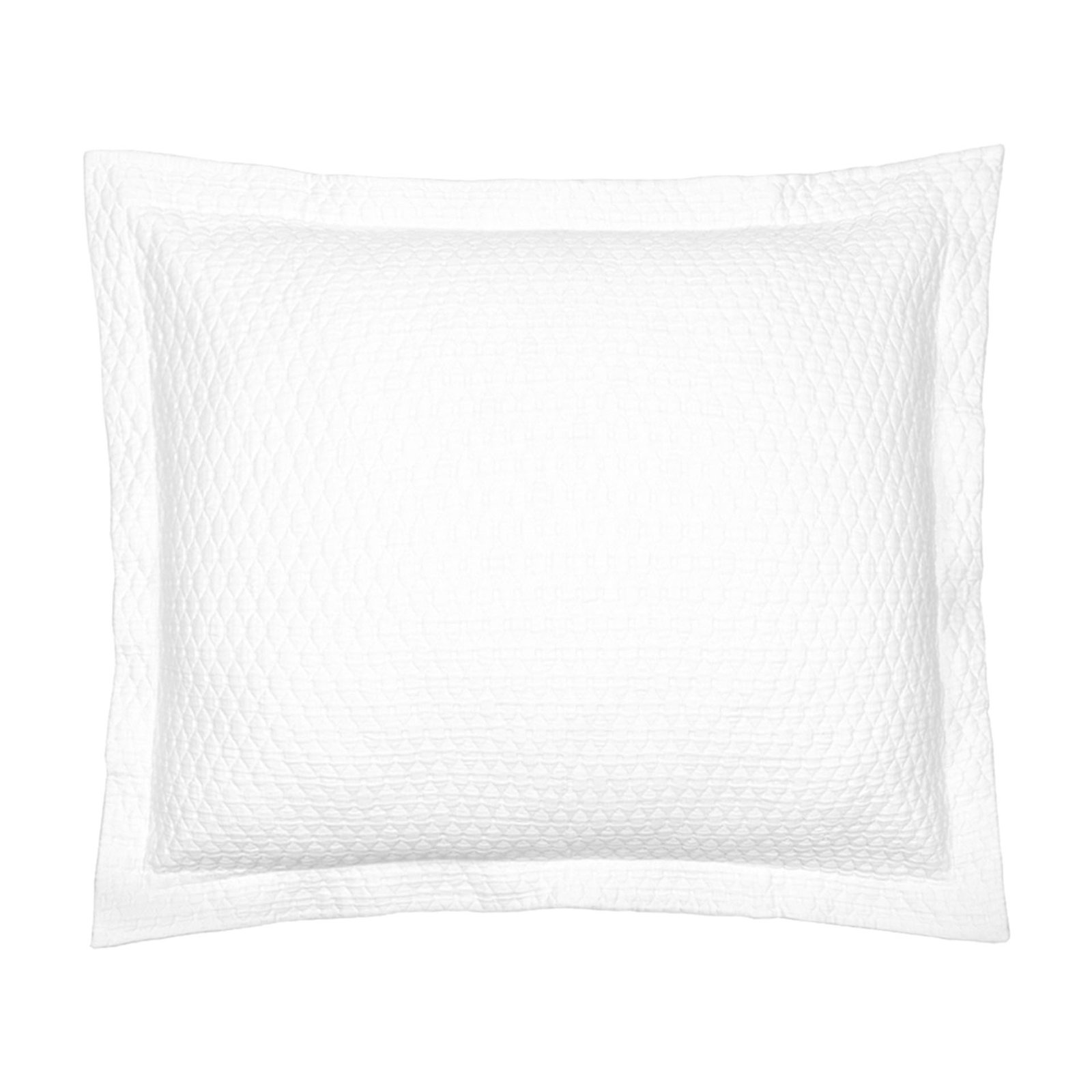 Simply Cotton Shams, Euro, White