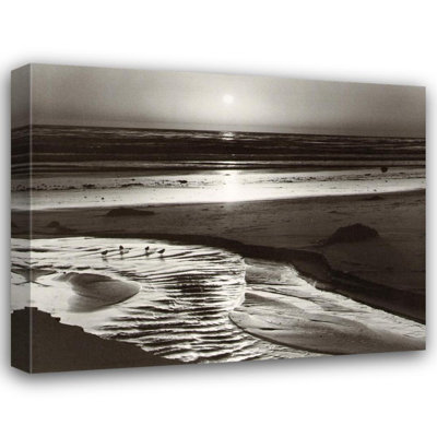 Oiseaux sur une plage