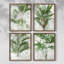 Lace Palms I, ensemble de 4 reproductions encadrées-557233224-557233227