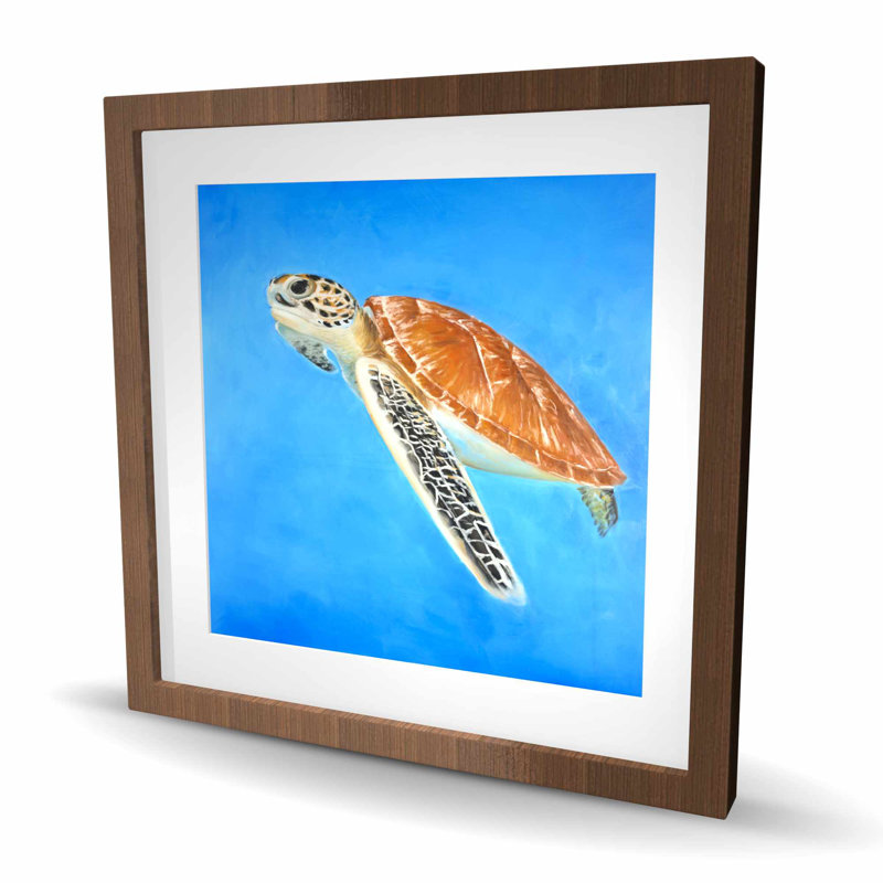 Tortue de mer - reproduction mat exotique encadrée pour la décoration intérieure, Brun, H 24 po x l 24 po