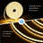 Lamuel DELight 100FT Warm White LED Strip Neon Rope Lights with Remote Comtrol Cuttable DIY Commercial Sign for Outdoor DEL-D100W