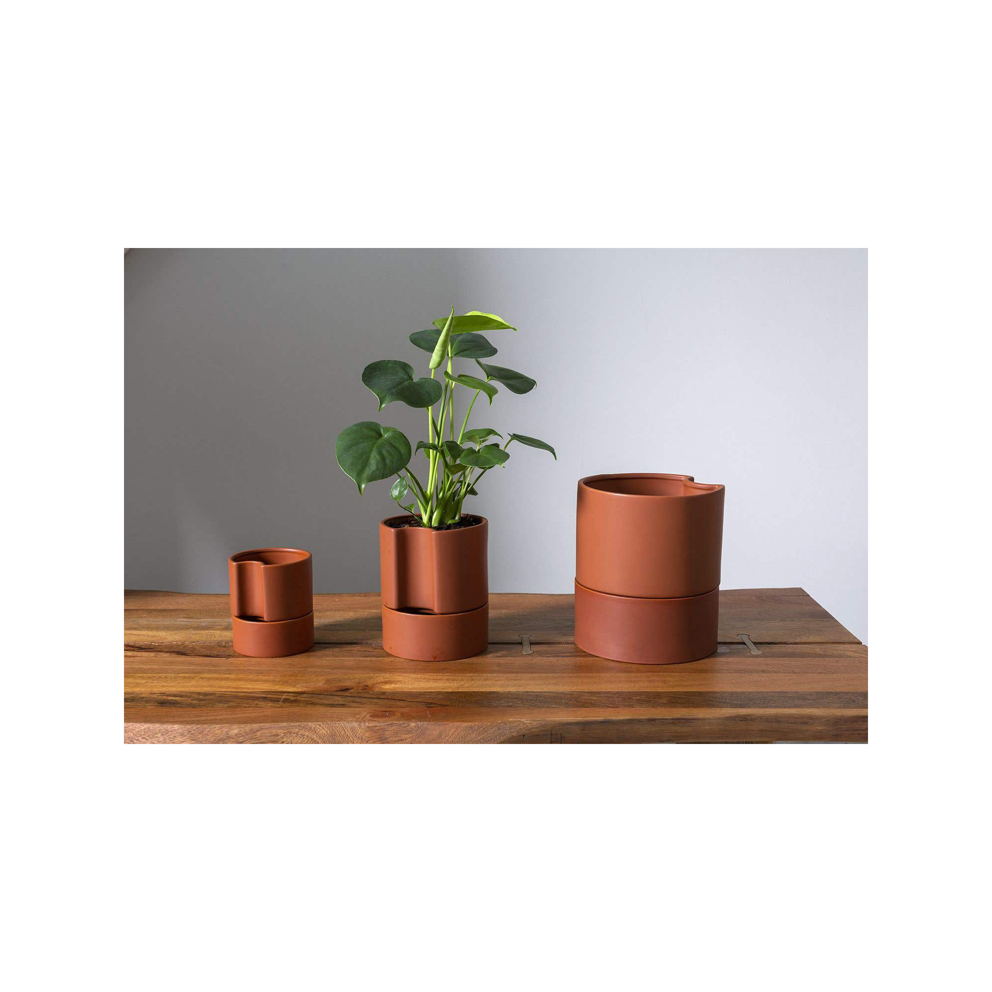 Patti Handmade Ceramic Pot Planter, 9" H x 8" W x 8" D, Terracotta