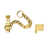 Polished Brass