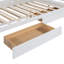 Grand lit plateforme avec rangement en bois avec gigogne et tiroirs, combinant élégance moderne et design pratique.-109327428