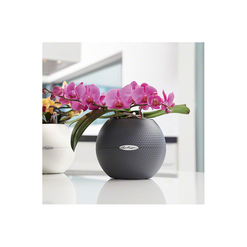 Pot Planter, 16 cm H x 20 cm W x 20 cm D, Grey