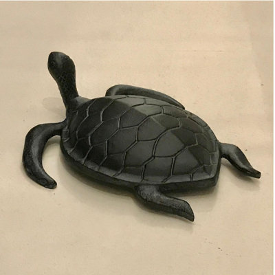 Curieuse tortue de mer - Patine