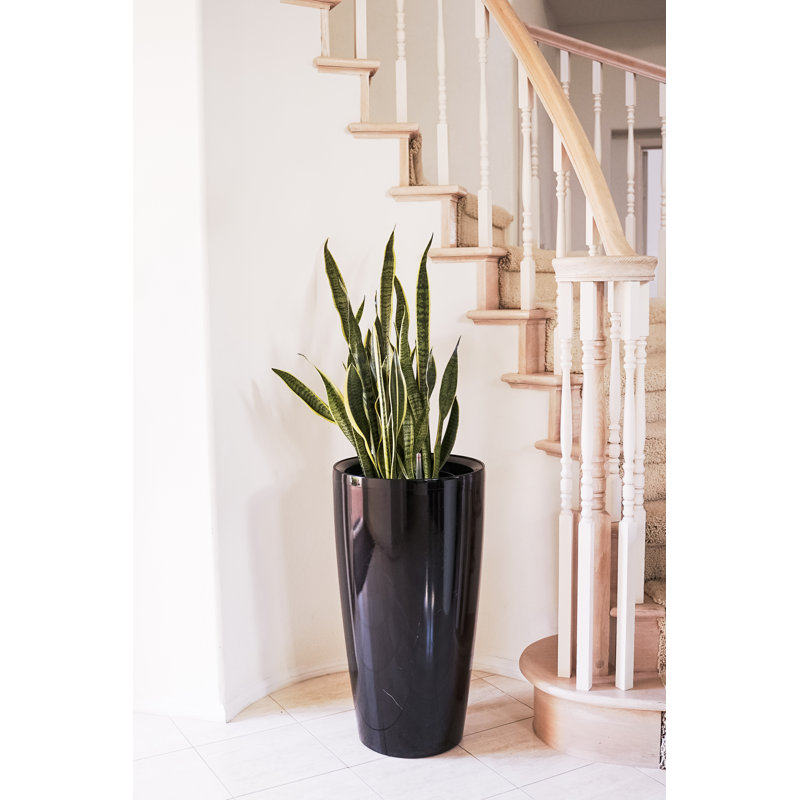 Pot de fleurs en plastique avec réservoir, Noir