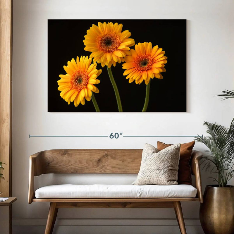 Trois marguerites Harnek sur fond sombre, H 32 po x l 48 po