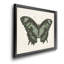 «Beautiful Butterfly II», impression sur toile encadrée-209804975-209804973