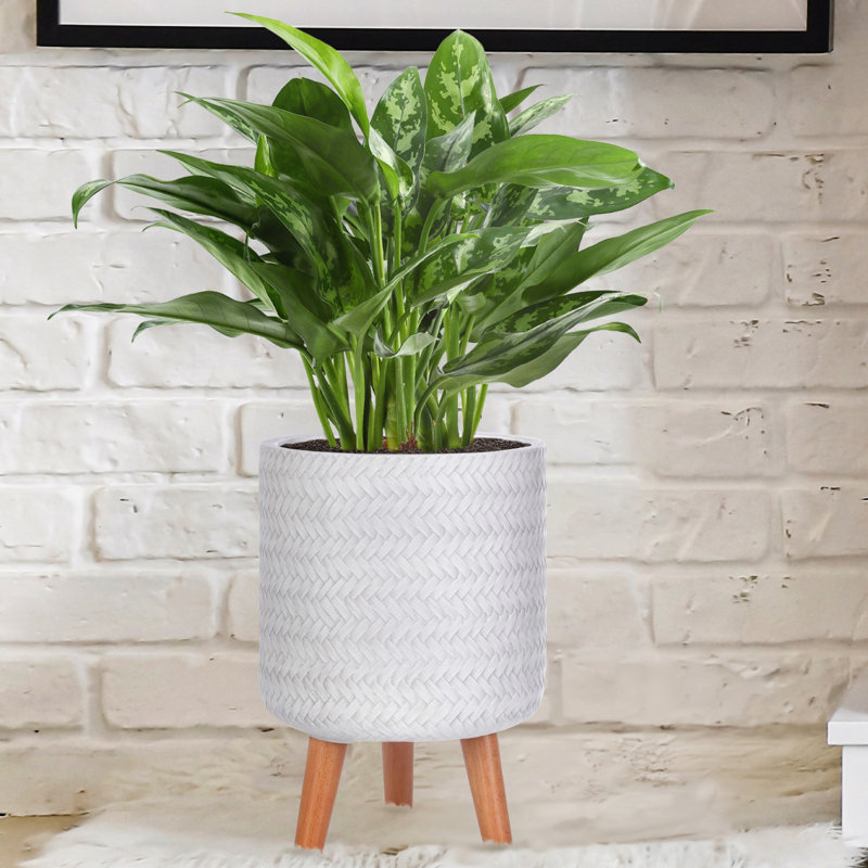 Concrete Effect Cylinder Round Planter on Hardwood Legs, Round Indoor Plant Pot Stand for Indoor Plants, Indoor Flower Pot with Plaited Pattern