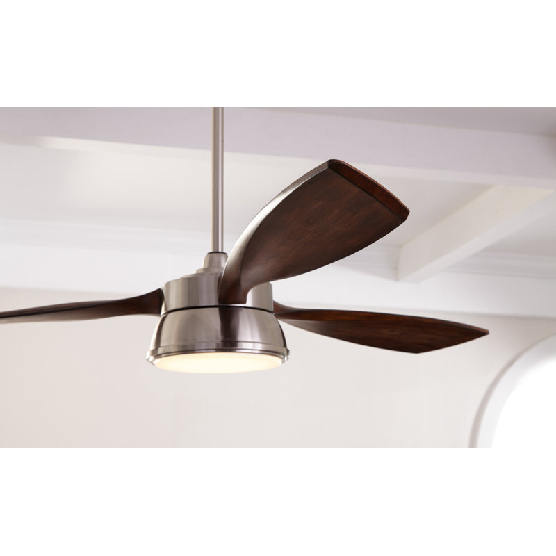 Alianny Ceiling Fan with Light Kit, Brushed Steel with Koa Blades