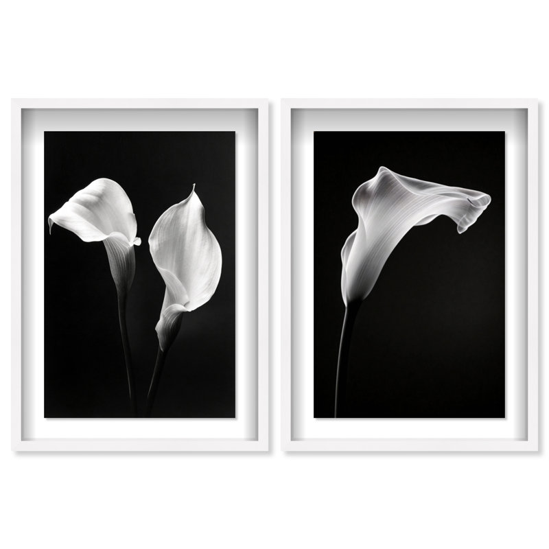 Calla Lily Set Shadowbox Floral & Botanical Print by Oliver Gal, Black Frame, 10 x 15, 25.5" H x 17.5" W, White Shadowbox