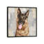 «German Shepherd», impression sur toile-72419302-72419301-33356210