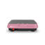 Machine d'exercice à plaque vibrante pour tout le corps, plateforme de remise en forme compacte avec ABS et plateforme en caoutchouc, rose rouge