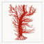 Red Branch Coral 8 Framed Graphic Art