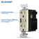 15 Tamper Resistant Duplex Outlet