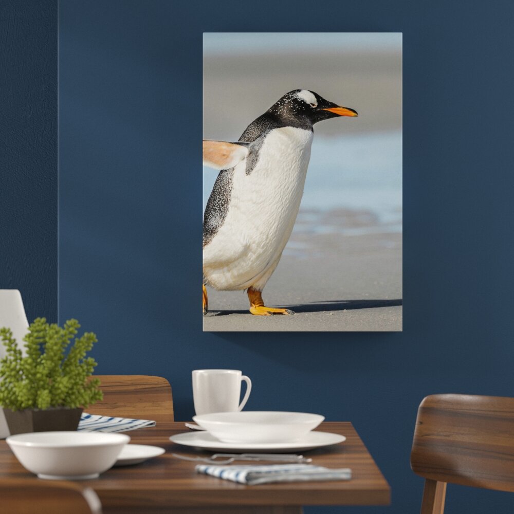 Leinwandbild Pinguin am Strand, Fotodruck