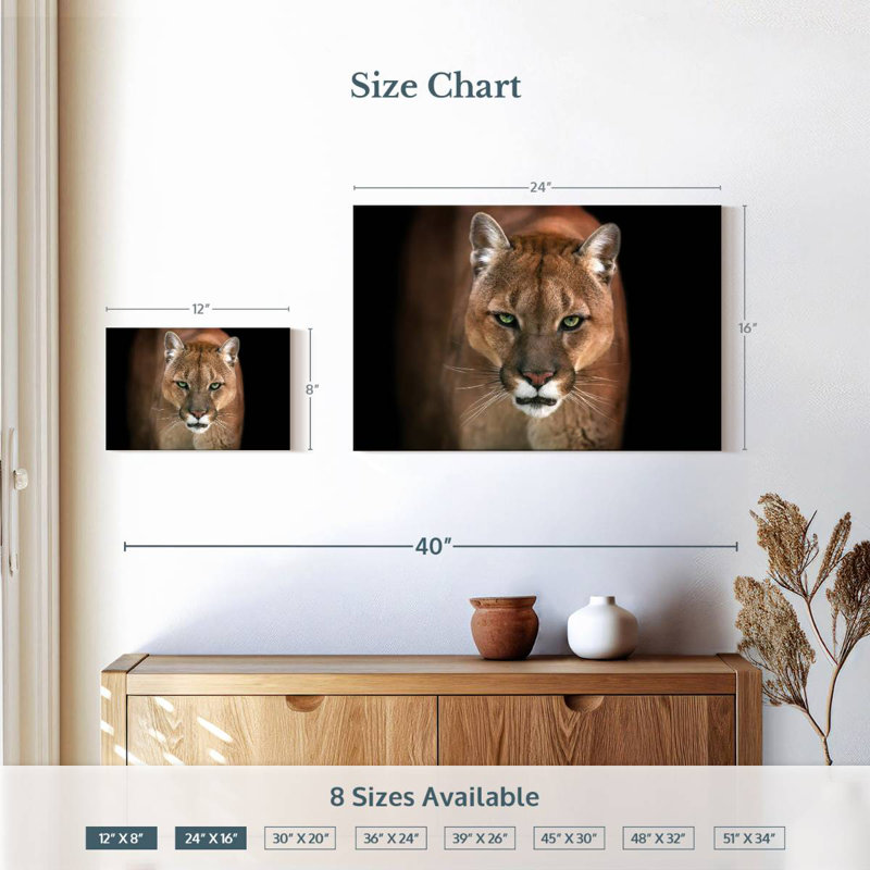 Brampt Fierce Puma, 16" H x 24" W