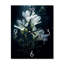 Horloge murale blanche sur fond blanc-1061464268