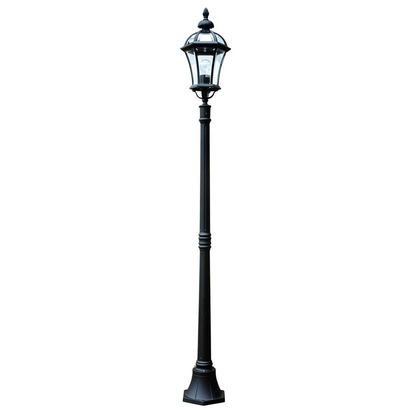 Wechsler Transparent Lamp Post (Full)