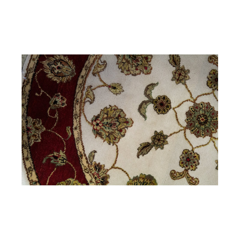 Oriental Area Rug