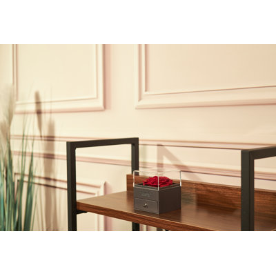 Acrylic Jewellery Box + Drawers