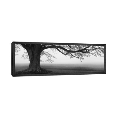 Panoramic Images by Panoramic Images - Floater Frame Panoramic Gallery-Wrapped Canvas Giclée on Canvas