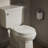 Brevia Toilet Seat with Quick-Release Hinges and Grip-Tight Bumpers-10979253-91059805