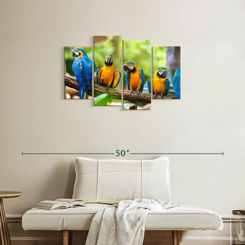 Brampt Macaw Party, H 22 po x l 36 po