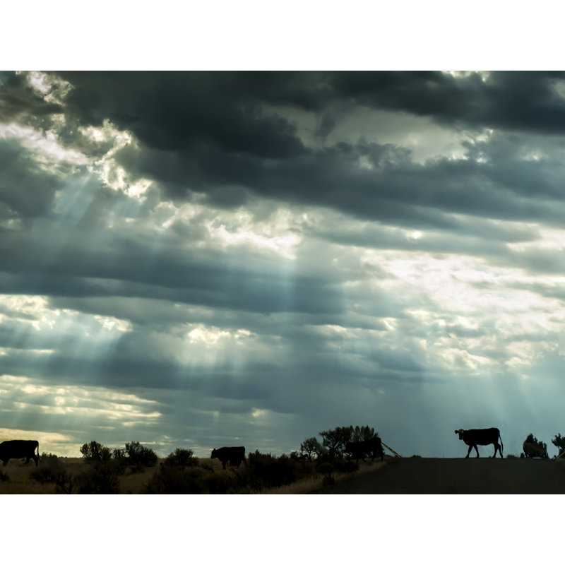 Range Crossing Print by Tom Kostes, Black Framed Paper, 25.25" H x 31.25" W