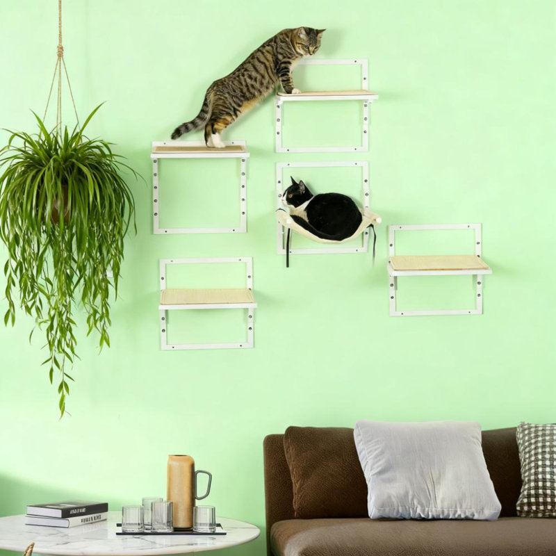 Condos et arbres à chat muraux modernes avec cadre en acier pour la maison