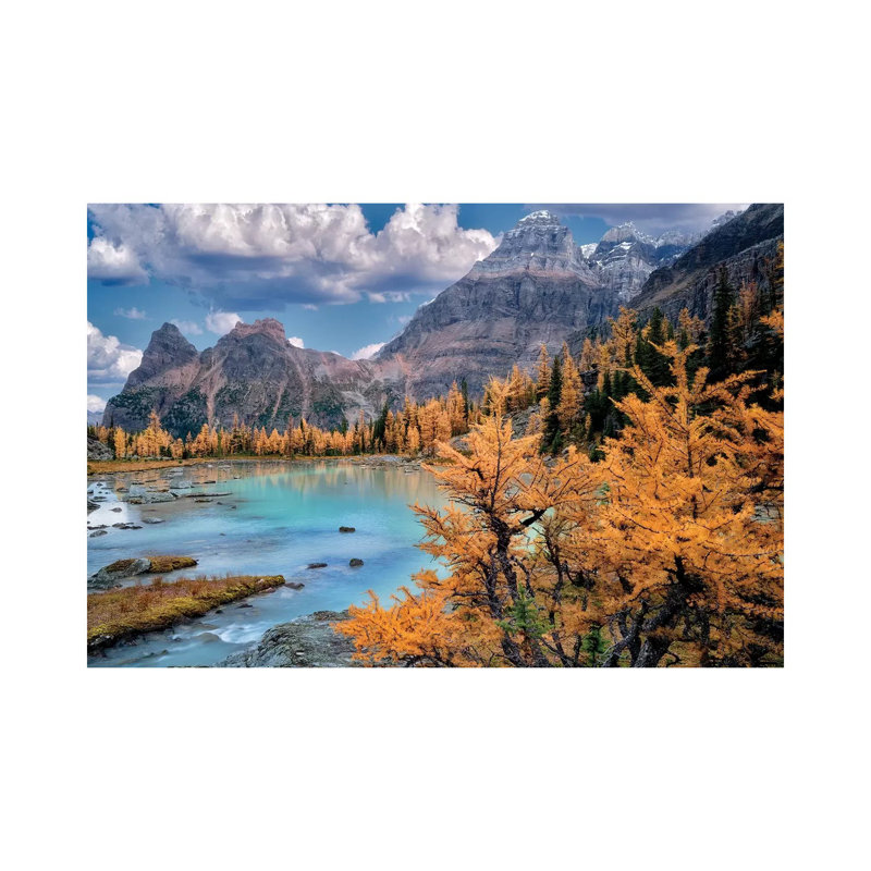 Rocky Mt. Larch 1 Piece Wrapped Canvas Wall Art, 101.6 cm H x 66.04 cm W x 3.175 cm D