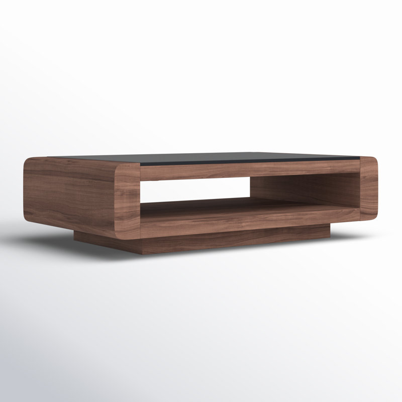 Ryean Solid Coffee Table with Storage