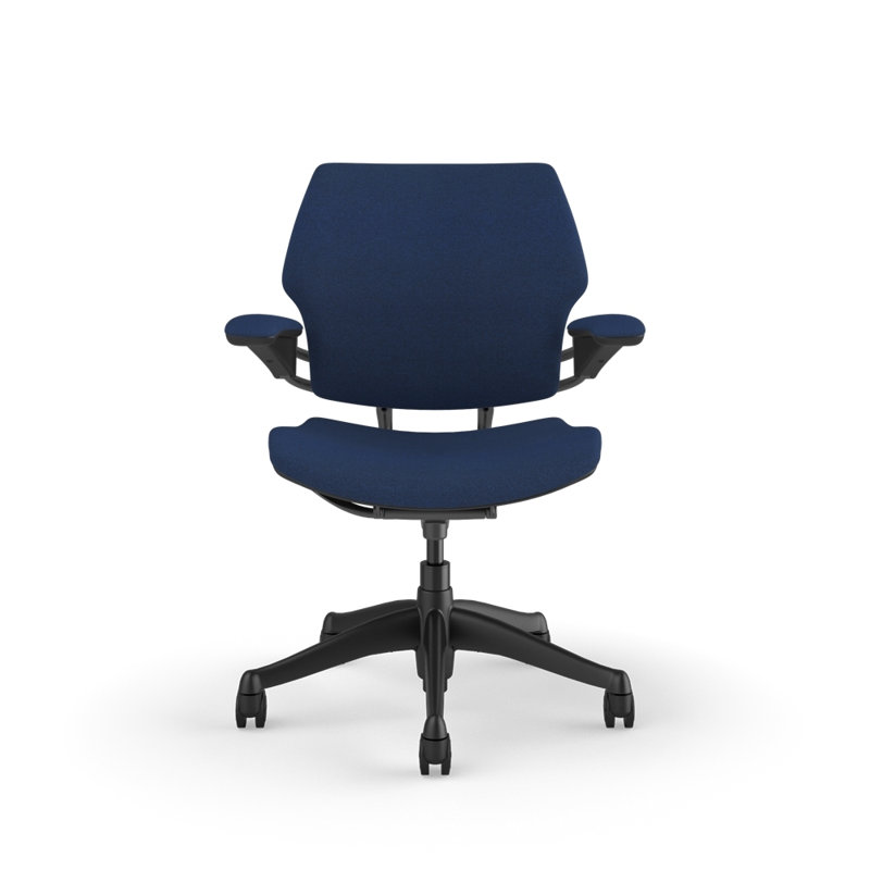 Freedom Ergonomic Task Chair - Autumn, Blue - 77