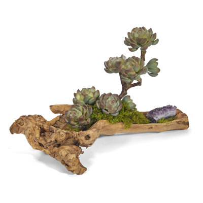 Succulent in Wood Planter