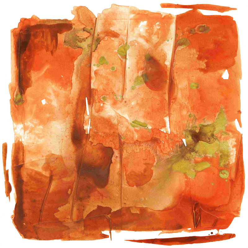 Orange Crush, 12" H x 12" W x 1.25" D