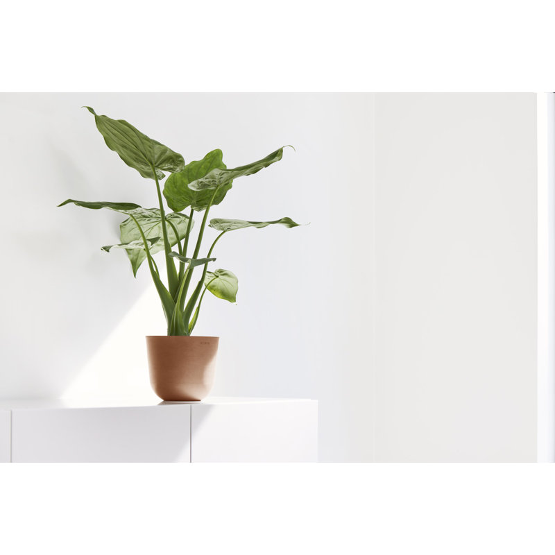 Ecopots Oslo Indoor/Outdoor Modern Recycled Plastic Flower Pot Planter, Terracotta, 13.78" H x 13.78" W x 12.01" D