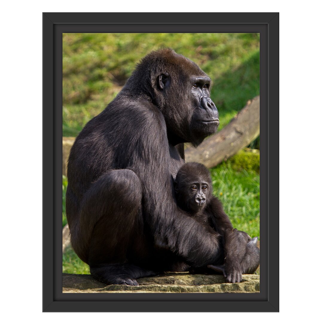 Gerahmtes Wandbild Liebevolle Gorillafamilie