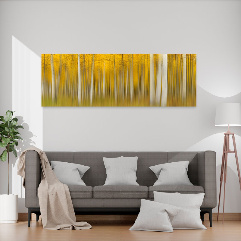 Golden Aspen Blur, H 20 po x l 60 po