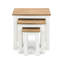 Carmel Solid Wood Nesting Tables-61943480