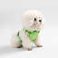 Harnais pour animal de compagnie Arlo-112400900