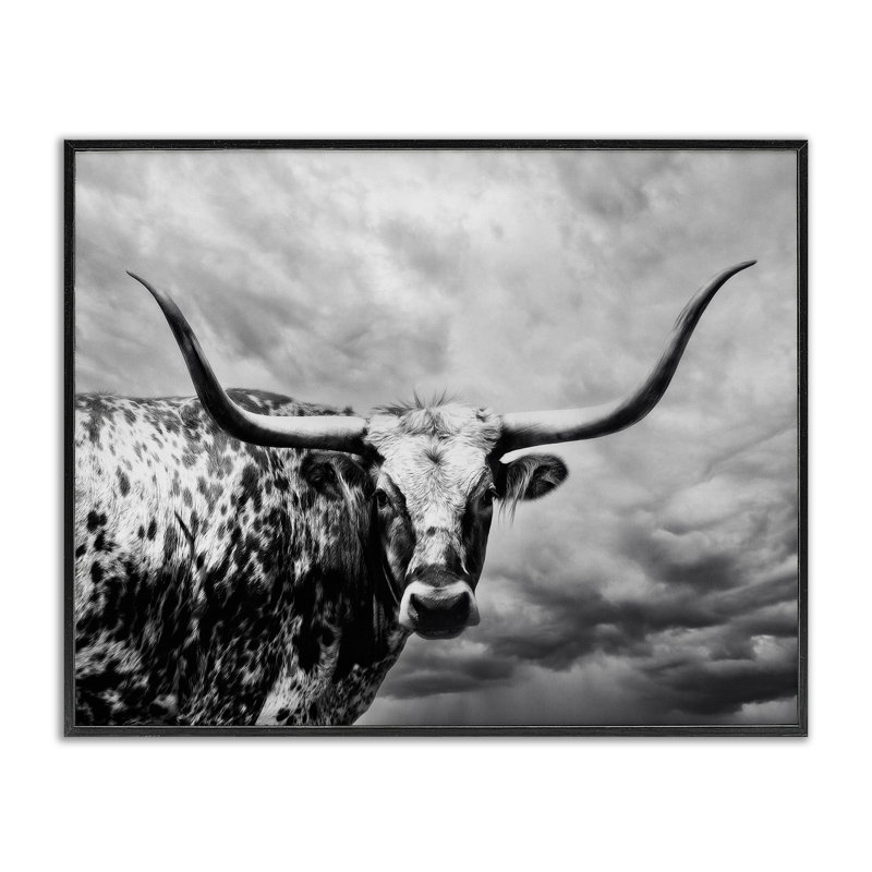 Dessin de giclée encadrée de longhorn au-dessus de nuages, par PHBurchett, H 24 po x l 30 po, Giclée encadrée noir minuit