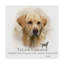 « yellow labrador », reproduction d’impression sur toile tendue-26856643
