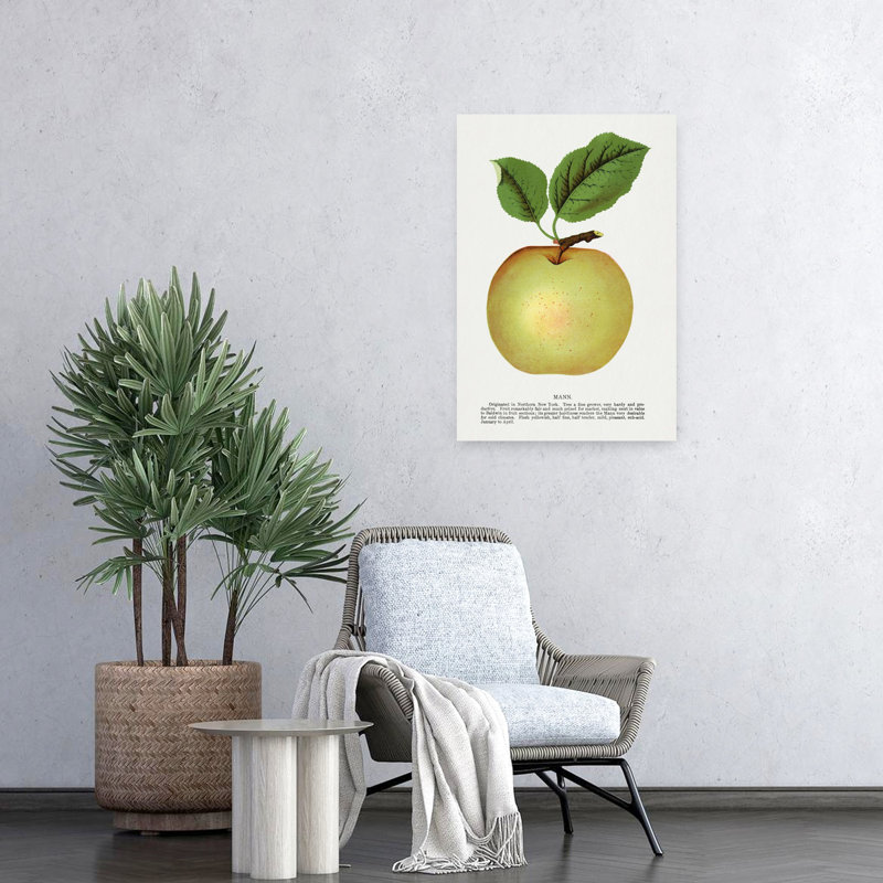 Pomme de lin Mann, H 24 po x l 16 po