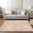  Corrisa Area Rug-567904380