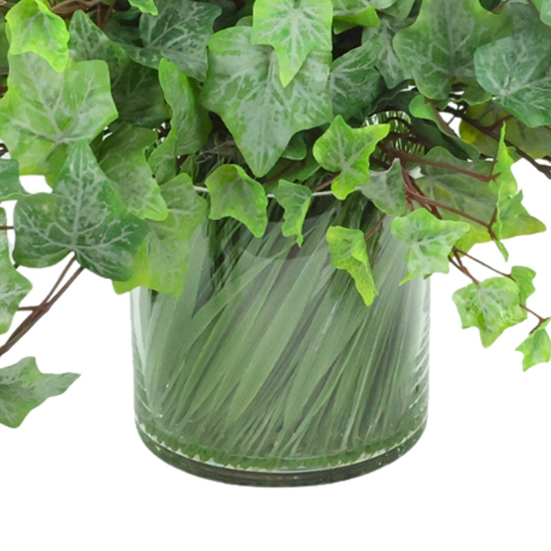 Ivy In Glass Vase With Grass