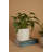 Pot Planter