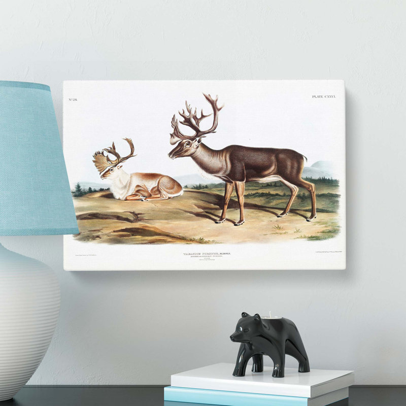 Caribou by J.W. Audubon - Wrapped Canvas, 35cm H x 50cm W x 3cm D