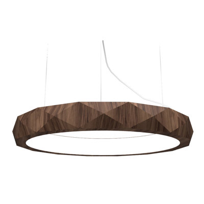 1 - Light LED Pendant