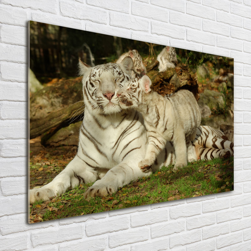 Tigers - No Frame Print on Glass